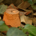 50Day07: Little Clay Pot