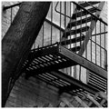 50Day28: Fire Escape