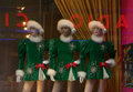 Christmas Card 2005