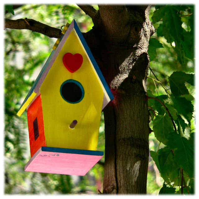 50Day14-b: Urban Birdhouse