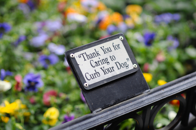 Thank You For Caring