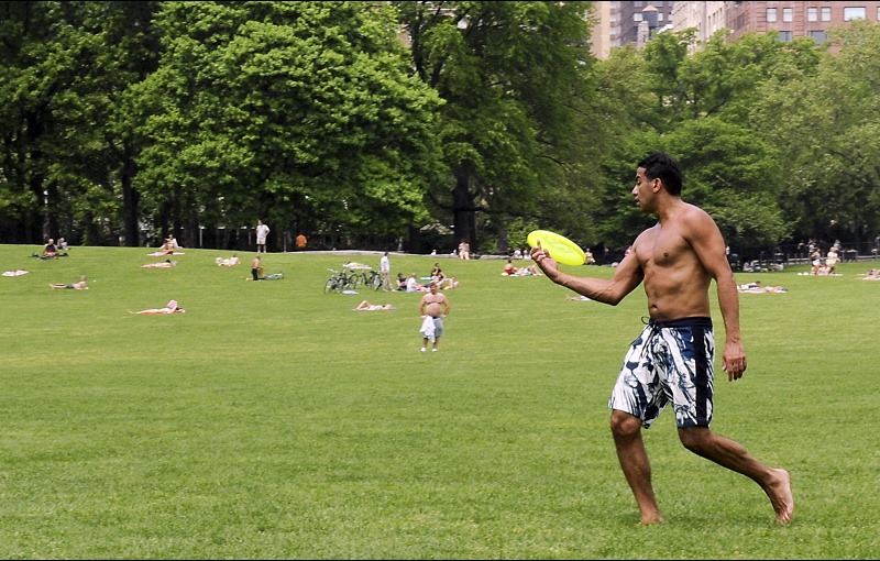 Frisbee in the Park