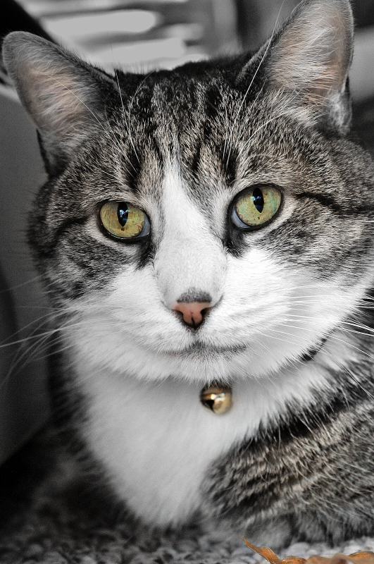 Sonny
