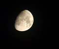 moon.jpg