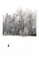 The Fridged Goose