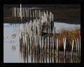 Heron 2