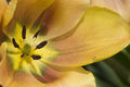 CLK_0059.jpg