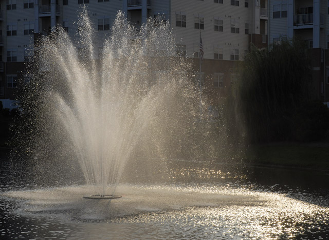 fountain.jpg