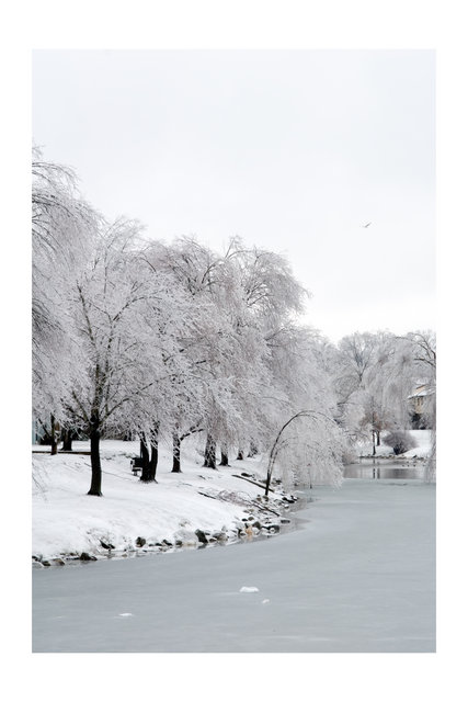 Frozen