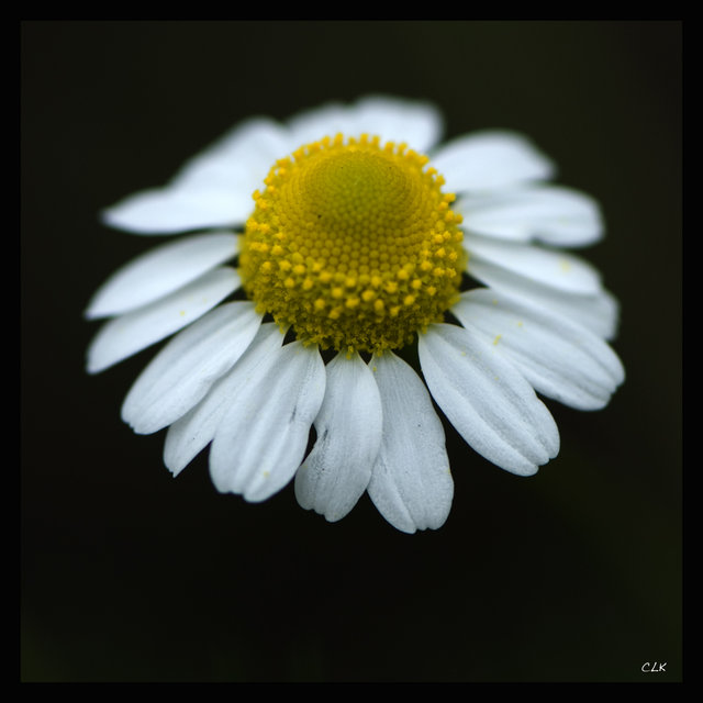_ASC0124.jpg
