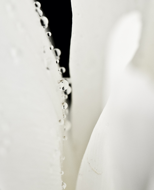 CLK_0029.jpg