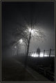richmond_fog1.jpg