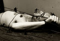 Lilliputian Interrogation BW