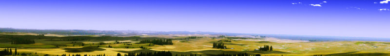 Spokane Panorama