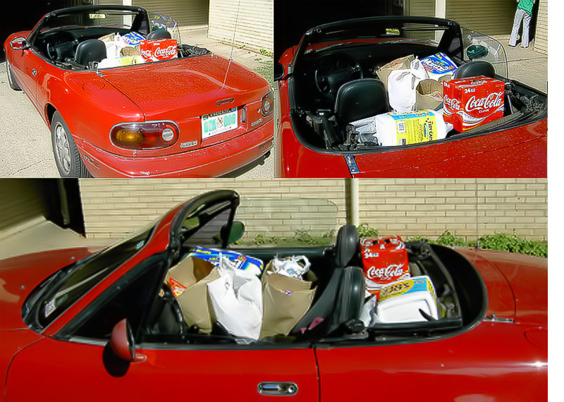 Day 19 Grocery Trip