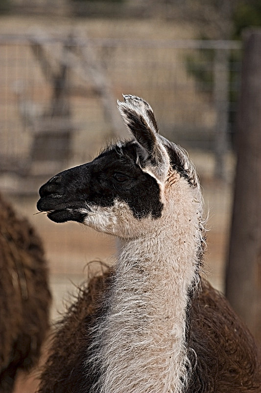 CRW_7735.jpg