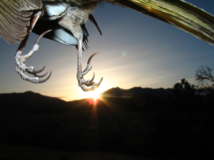 7030_SunInFrame.jpg