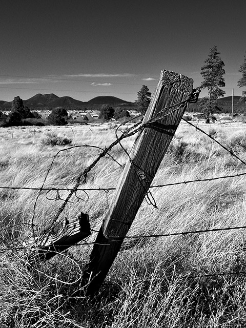 The Fence Needs Fixin'