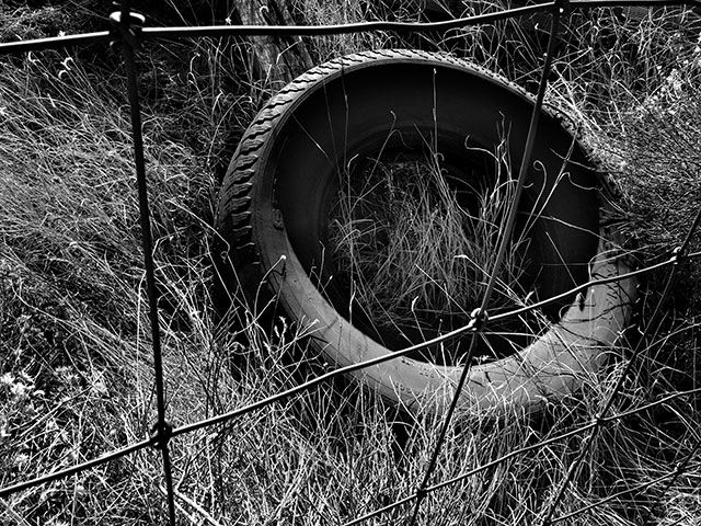 Week 10: Discarded Tire