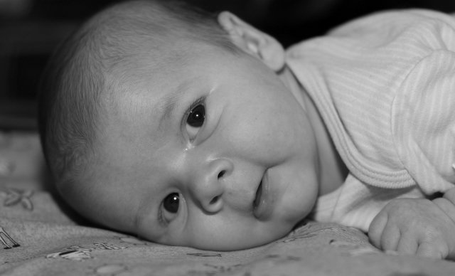Adrien 081206