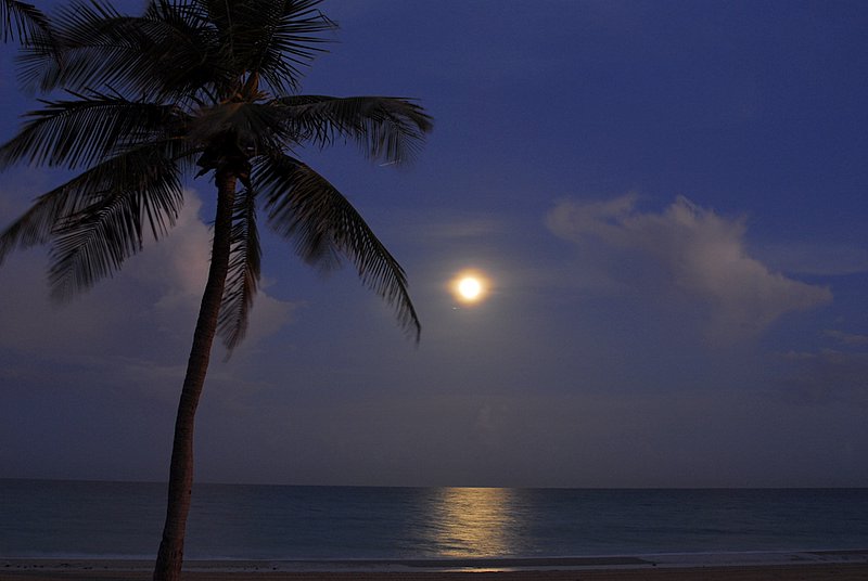 Moon over Ft.Lauderdale_2