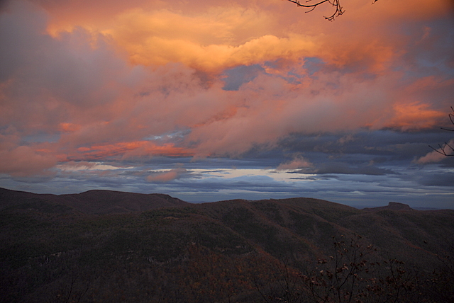 _DSC4925.JPG