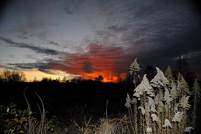 Sunset in N.GA