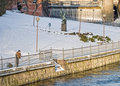 ' . substr('//images.dpchallenge.com/images_portfolio/60000-64999/62357/120/643580.jpg', strrpos('//images.dpchallenge.com/images_portfolio/60000-64999/62357/120/643580.jpg', '/') + 1) . '