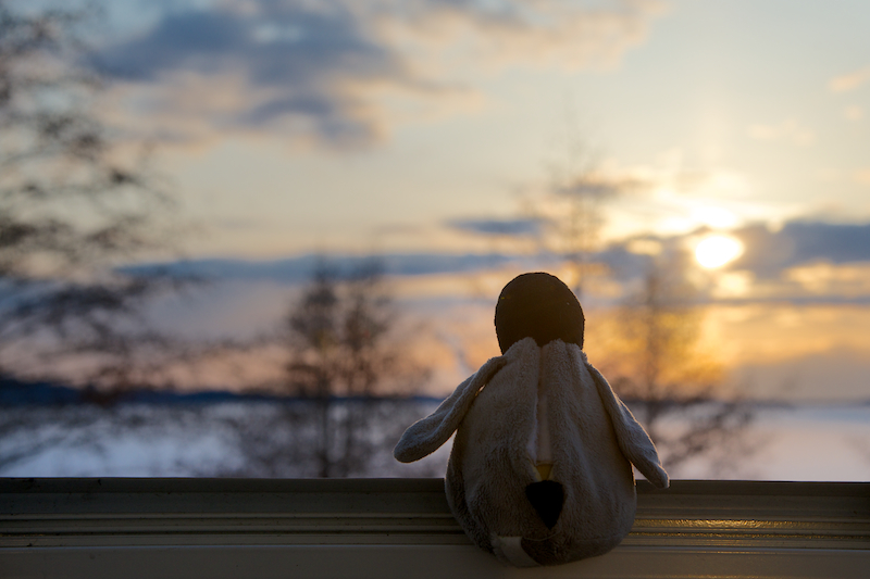 Lost in Finland 1