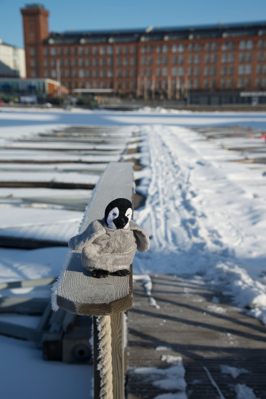 Lost in Finland 7