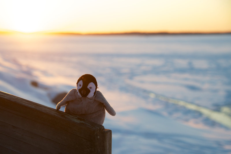 Lost in Finland 11