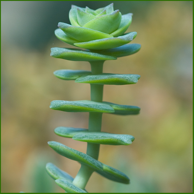 macro-day-5.jpg