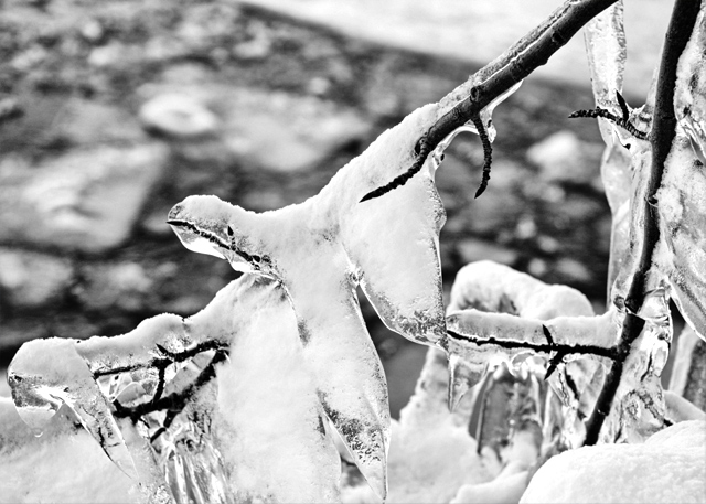 WK 2 300_0115.jpg