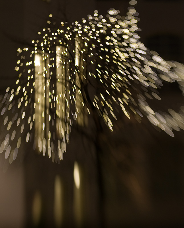 302_1057.jpg