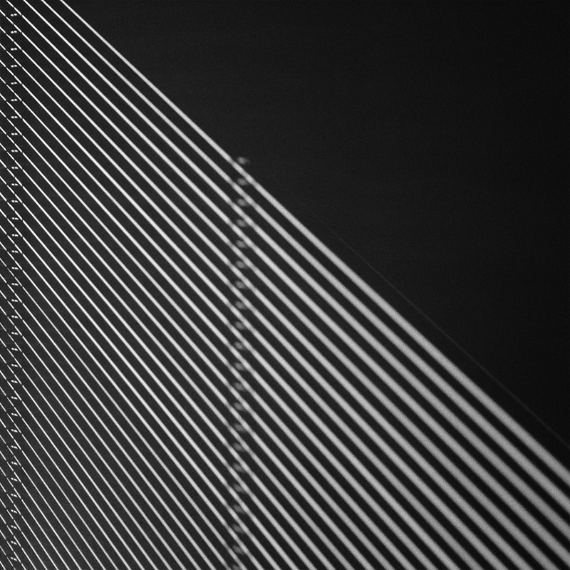 Day-8