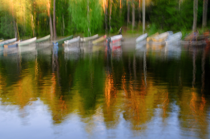 The lake shore