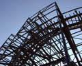 Roller Coaster