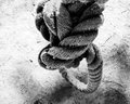 The End of My Noose