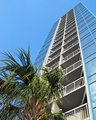 Palmetto Tower