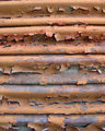 Peeling Garage Door