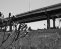 Passer-bys on the Freeway of Shadows