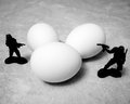 The Poultry War III