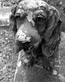 Man's Best Friend
