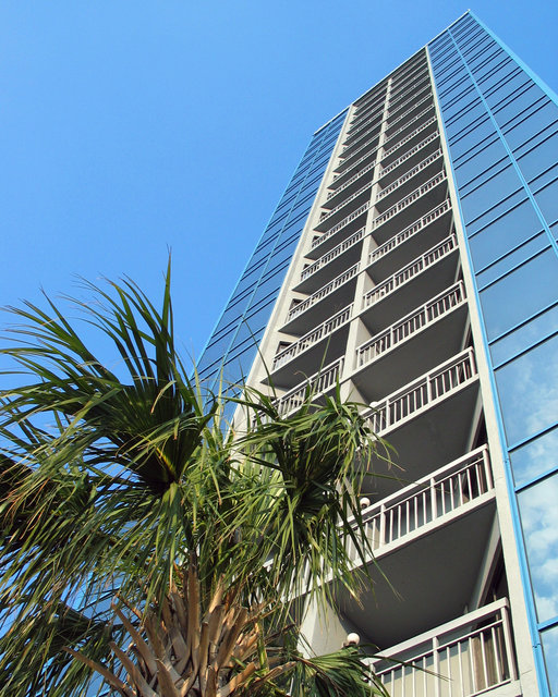 Palmetto Tower