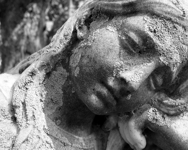 Forever in Thought II