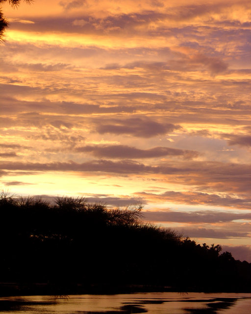 The Sky Before a Hurricane