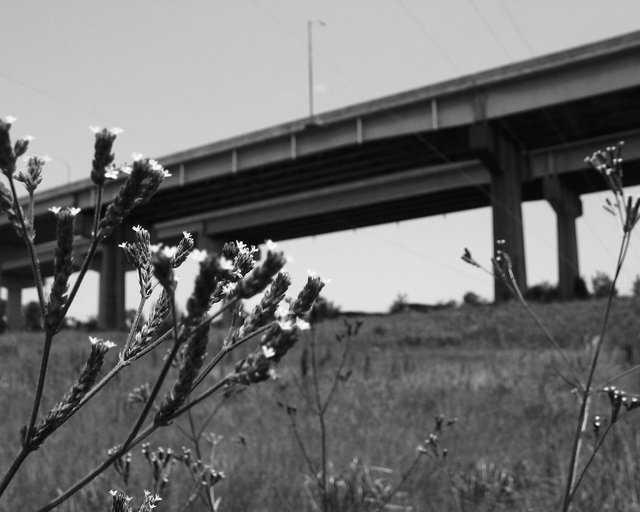 Passer-bys on the Freeway of Shadows