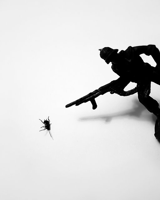 Pest Control
