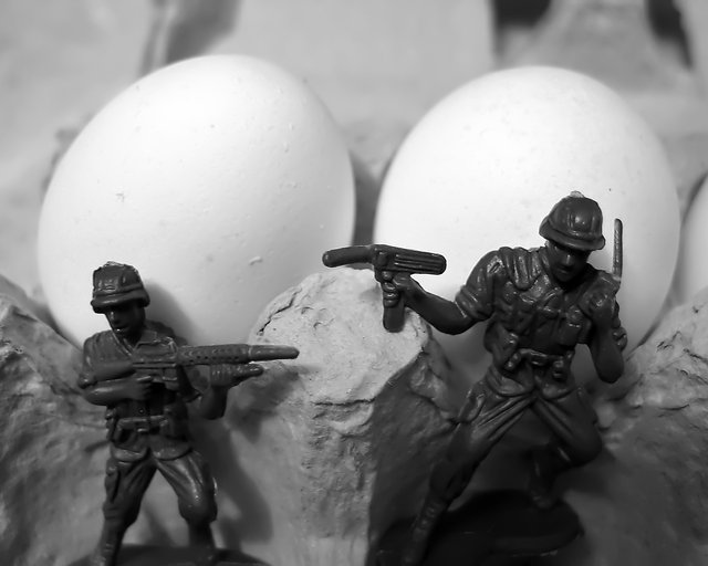 The Poultry War