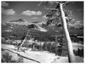 Tuolumne Meadows